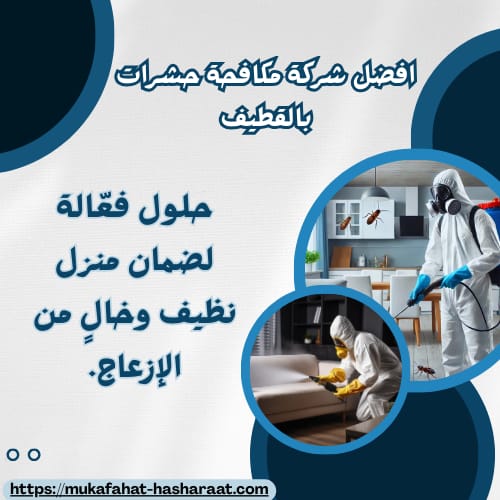 افضل شركة مكافحة حشرات بالقطيف