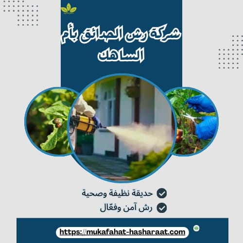 شركة رش الحدائق بأم الساهك