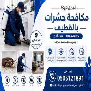 افضل شركة مكافحة حشرات بالقطيف