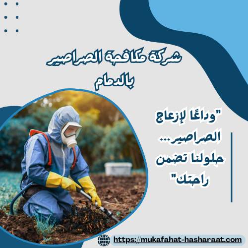 شركة مكافحة الصراصير بالدمام