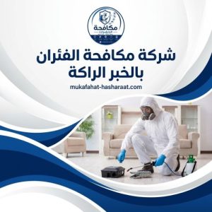 شركة مكافحة الفئران بالخبر الراكة