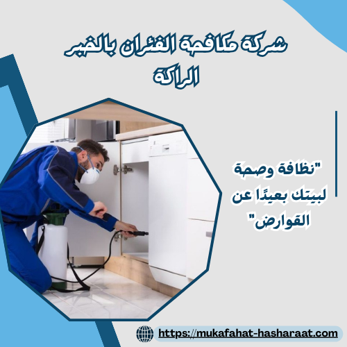 شركة مكافحة الفئران بالخبر الراكة