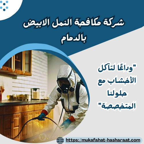 شركة مكافحة النمل الابيض بالدمام