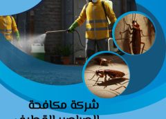 شركة مكافحة الصراصير القطيف 0505121891
