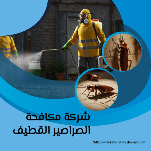 شركة مكافحة الصراصير القطيف