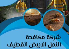 شركة مكافحة النمل الابيض القطيف 0505121891