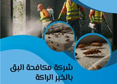 شركه مكافحة البق بالخبر الراكة 0505121891