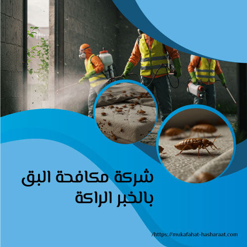 شركه مكافحة البق بالخبر الراكة