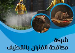 شركة مكافحة الفئران بالقطيف 0505121891