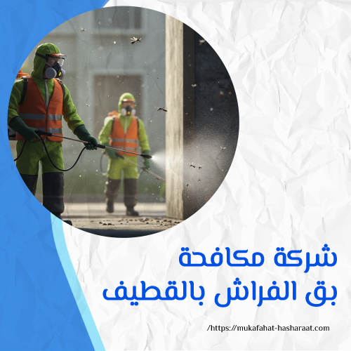 شركة مكافحة بق الفراش بالقطيف