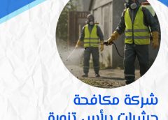 شركة مكافحة حشرات برأس تنورة 0505121891