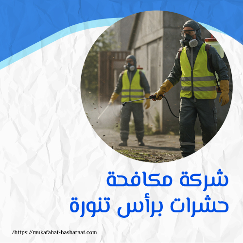 شركة مكافحة حشرات برأس تنورة