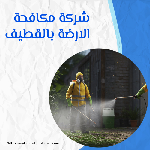 شركة مكافحة الارضة بالقطيف