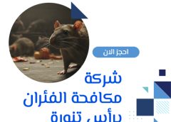 شركة مكافحة الفئران برأس تنورة 0505121891