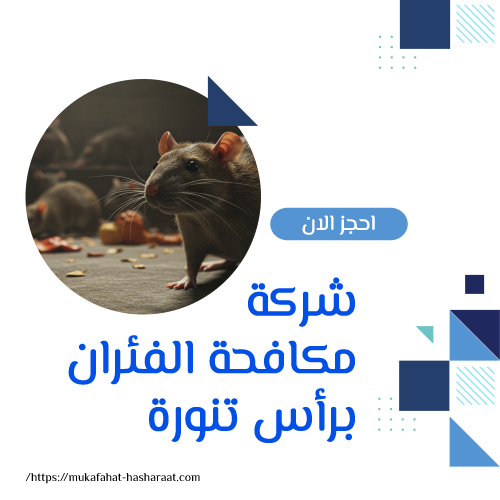 شركة مكافحة الفئران برأس تنورة