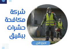 شركة مكافحة حشرات ببقيق 0505121891