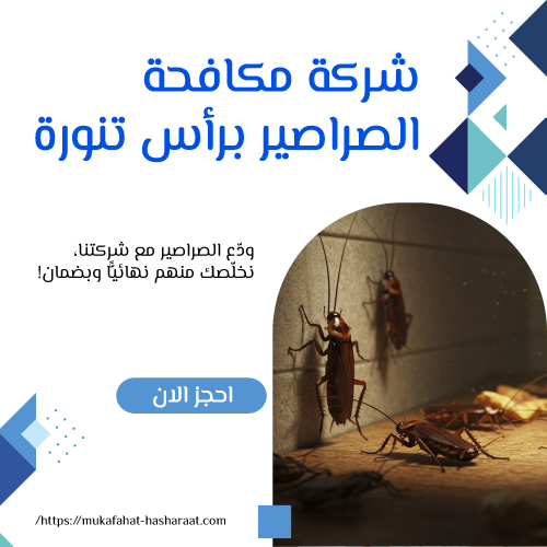 شركة مكافحة الصراصير برأس تنورة