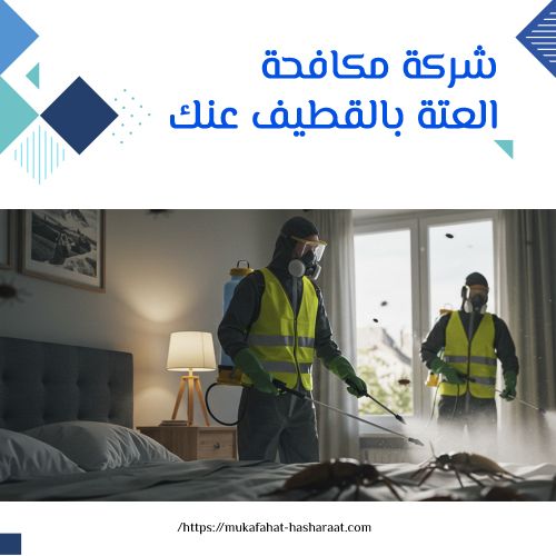 شركة مكافحة العتة بالقطيف عنك