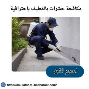 شركة مكافحة حشرات بالقطيف
