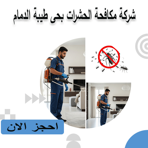شركة مكافحة الحشرات بحى طيبة الدمام