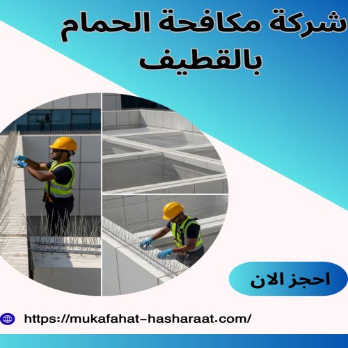 شركة مكافحة الحمام بالقطيف