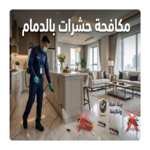 مكافحة حشرات بالدمام