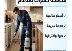 مكافحة حشرات بالدمام 0505121891