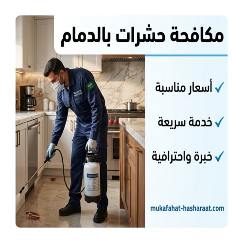 مكافحة حشرات بالدمام